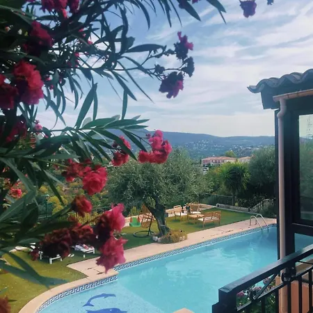 With Pool And Mountain View